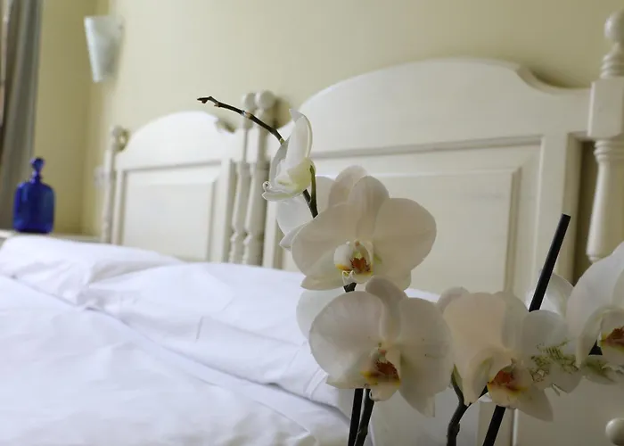 Iraipe Ongi Auto Check-in فندق