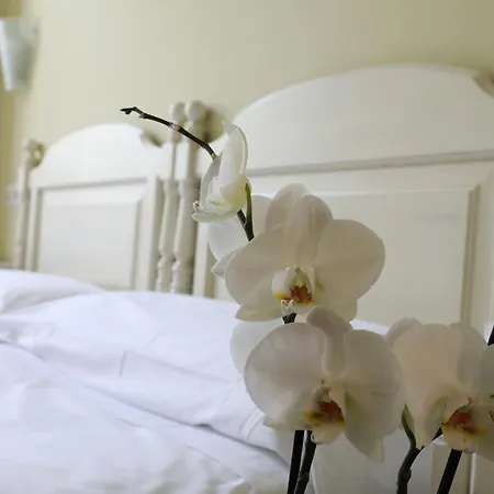 Iraipe Ongi Auto Check-in Hotel